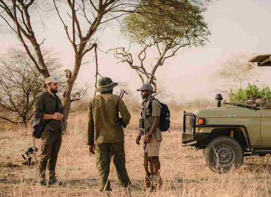Bush Walking Safari Experience